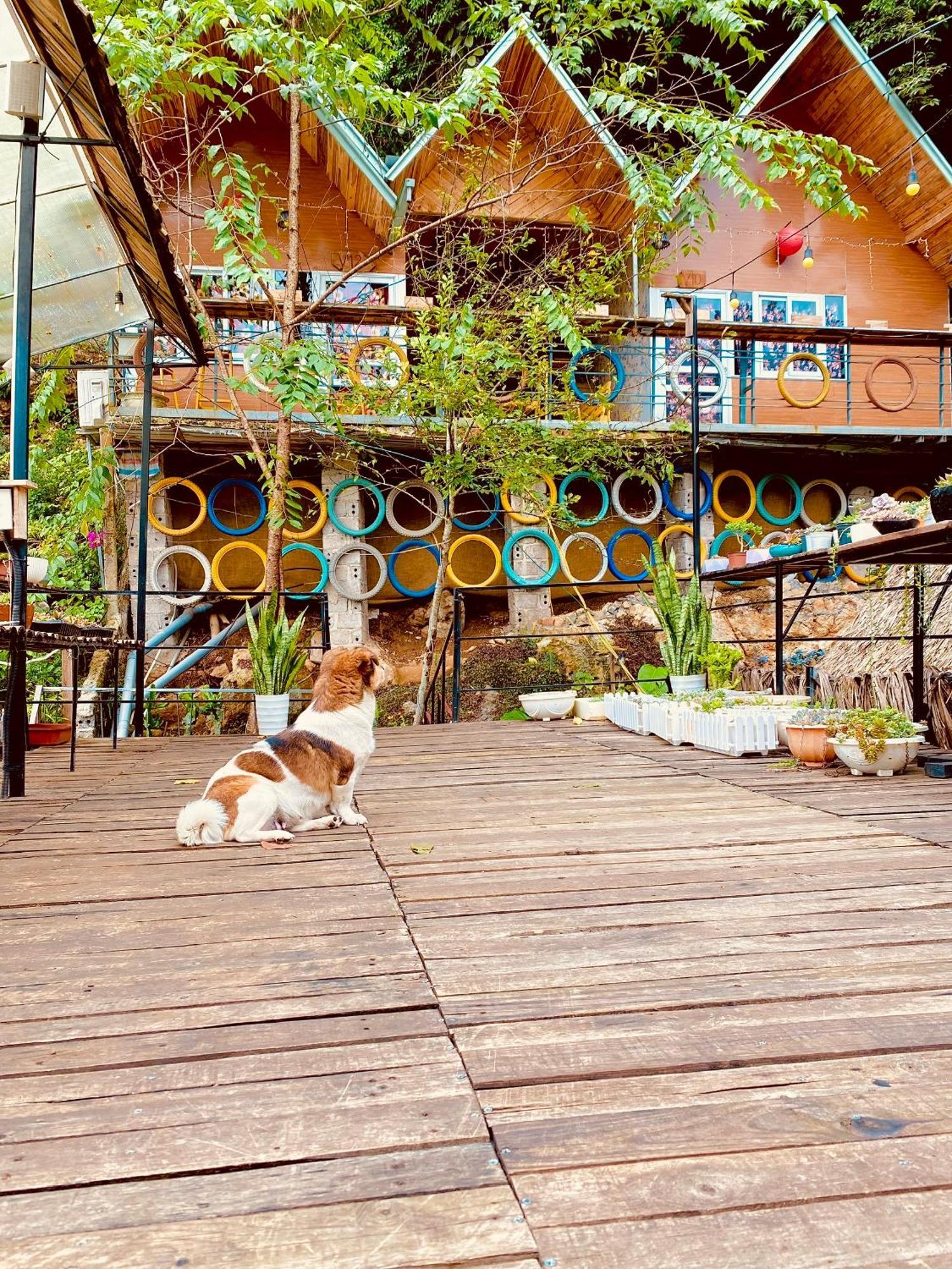 Homestay Gau Smile - Moc Chau Son La Zewnętrze zdjęcie